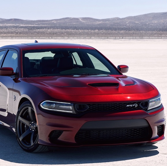 Meet your Posher, James - Picture 1 of 1